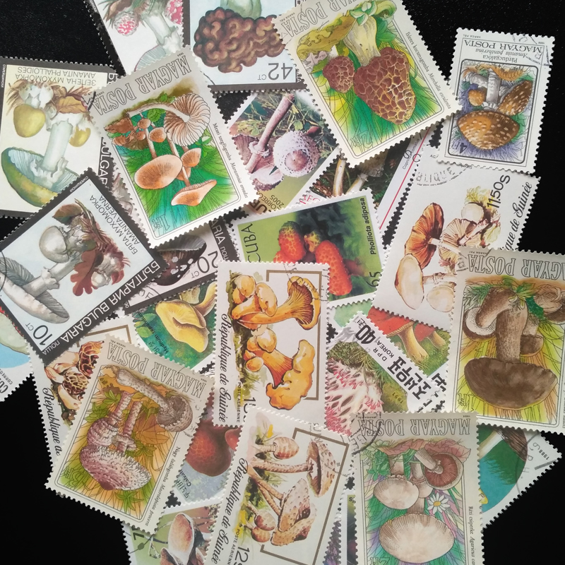 Collectible Vintage Postage Stamps - 100 Different Original Mushroom Postage Stamps