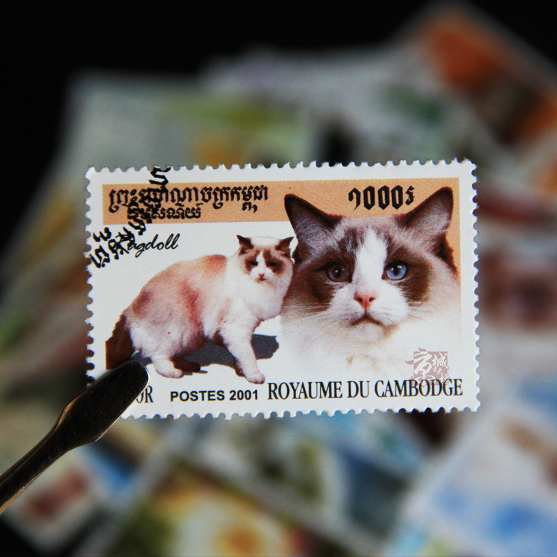 50 Different Cats Stamps 50 No - Vintage Collectible Stamps reseña y precio