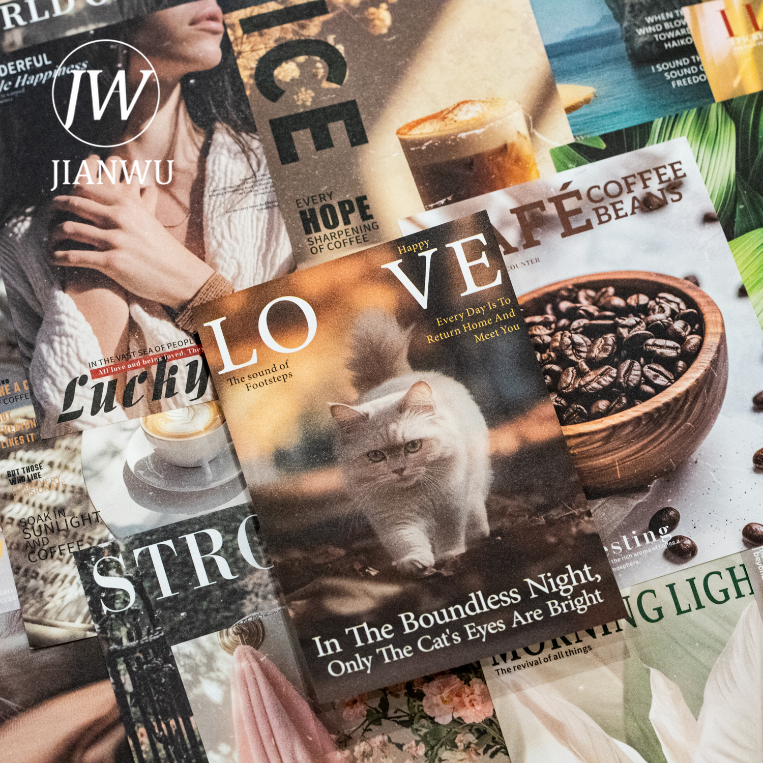 JIANWU Magazine Collection Gal - Vintage Collectible Magazines reseña y precio