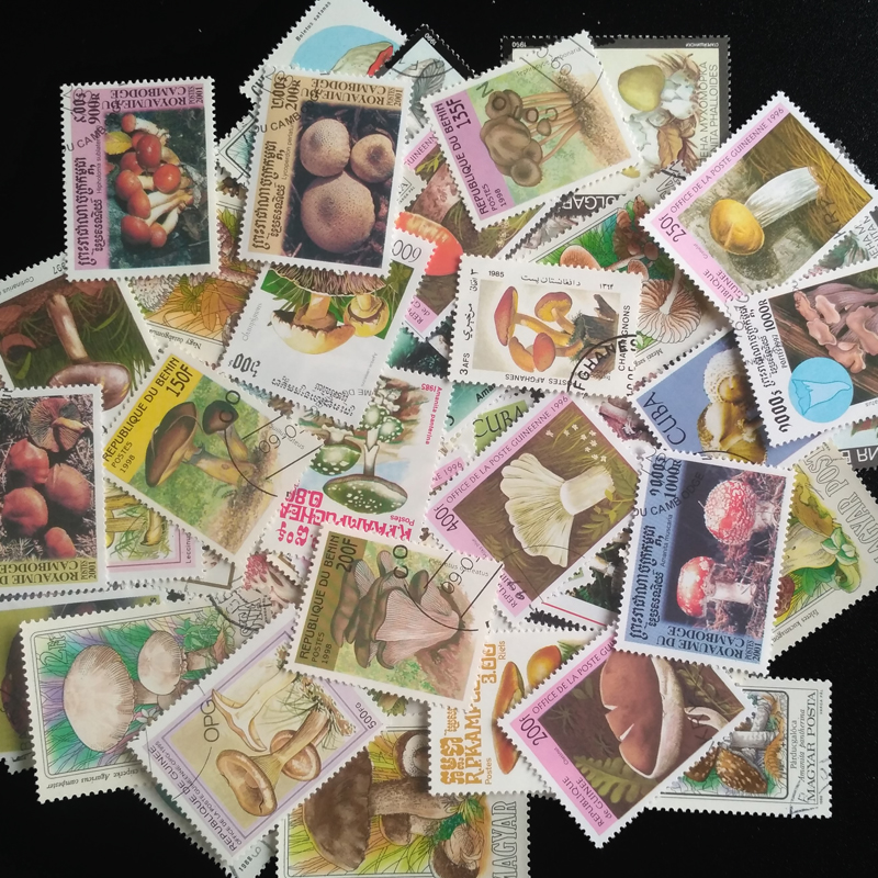 100 Different Original Mushroo - Collectible Vintage Postage Stamps reseña y precio