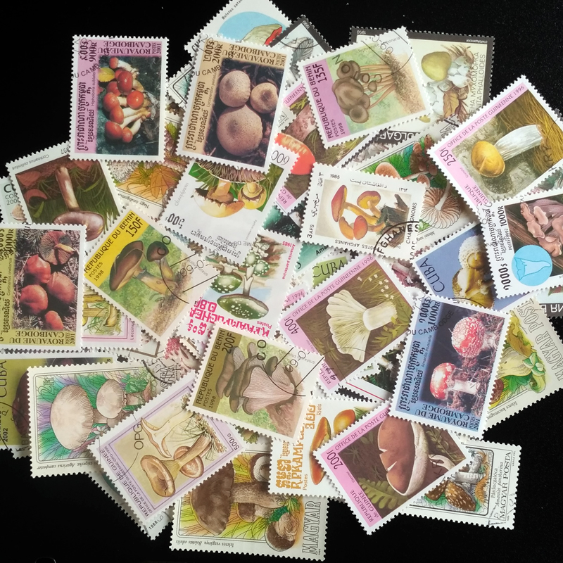 100 Different Original Mushroo - Collectible Vintage Postage Stamps reseña y precio