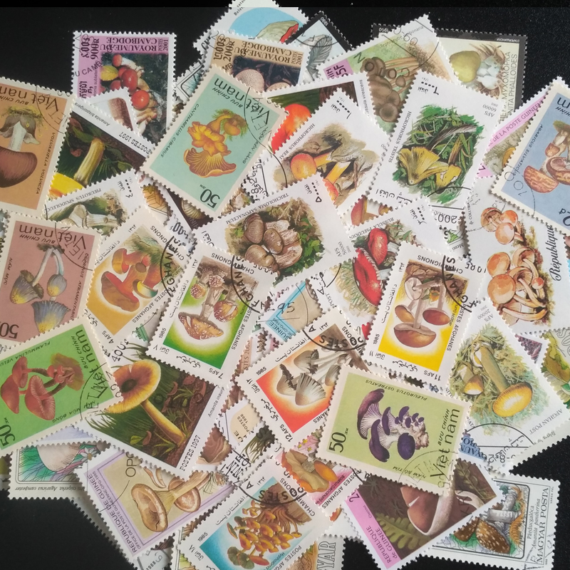 100 Different Original Mushroo - Collectible Vintage Postage Stamps reseña y precio