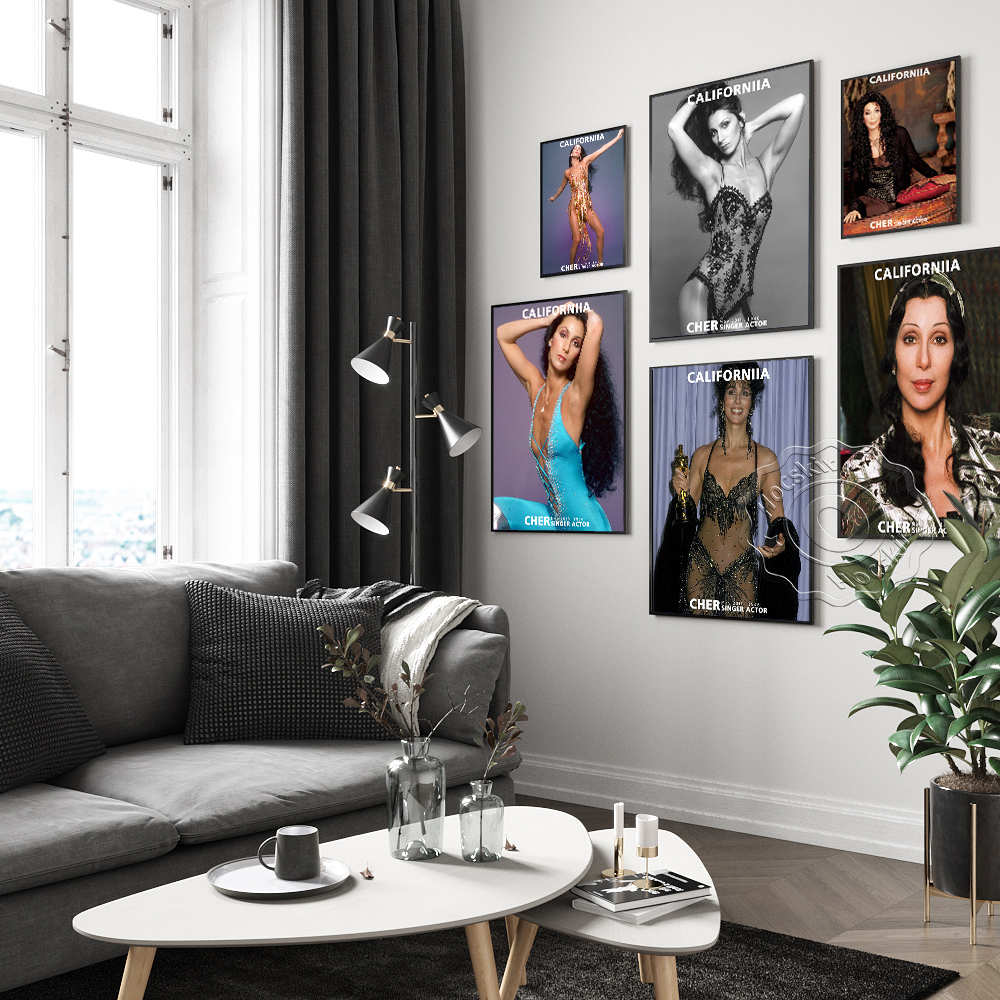 Cher Sexy Music Star Art Print - Vintage Collectible Magazines reseña y precio