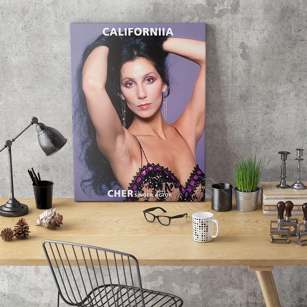 Cher Sexy Music Star Art Print - Vintage Collectible Magazines reseña y precio