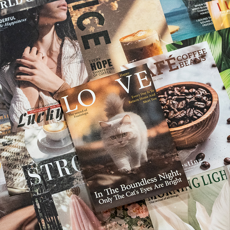 Mr.Paper 30Pcs/Bag Vintage The - Vintage Collectible Magazines reseña y precio